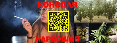 мдпв Славгород