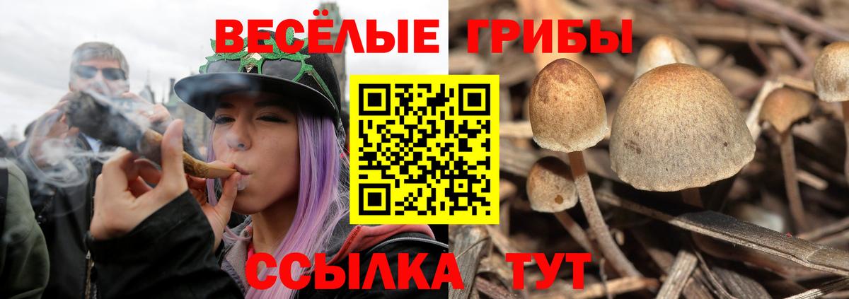 Печора  Галлюциногенные грибы мухоморы  Псилоцибиновые грибы ЛСД  купить наркотик  Вход с VPN 